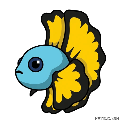 Blue Betta Fish