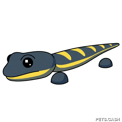 Salamander
