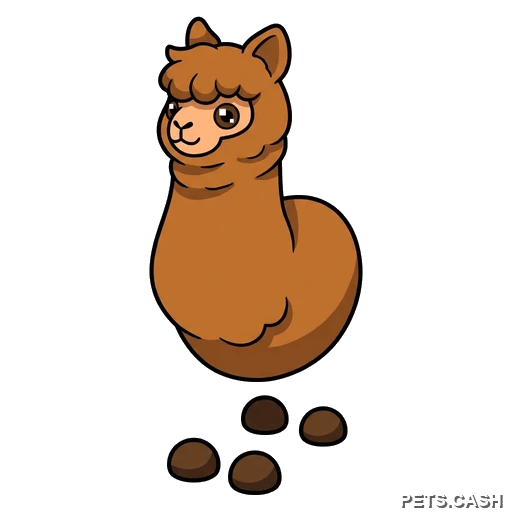 Alpaca