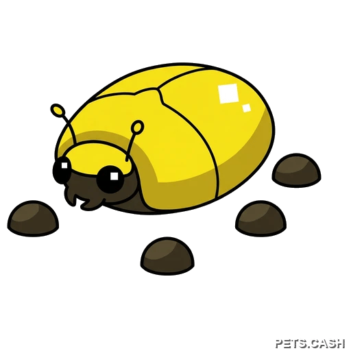 Giant Gold Scarab
