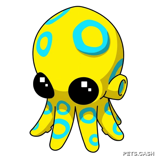 Blue Ringed Octopus