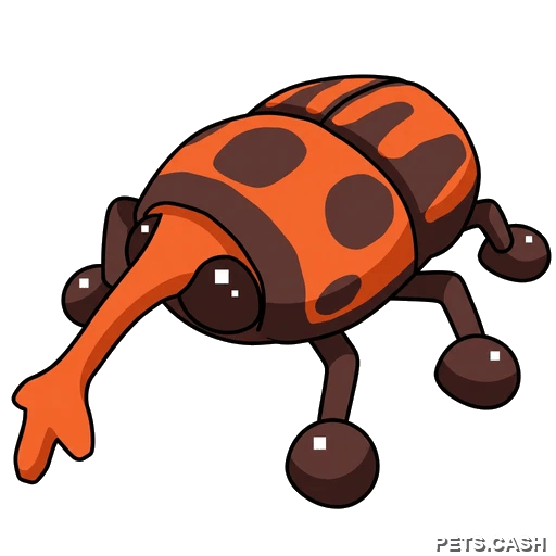 Weevil