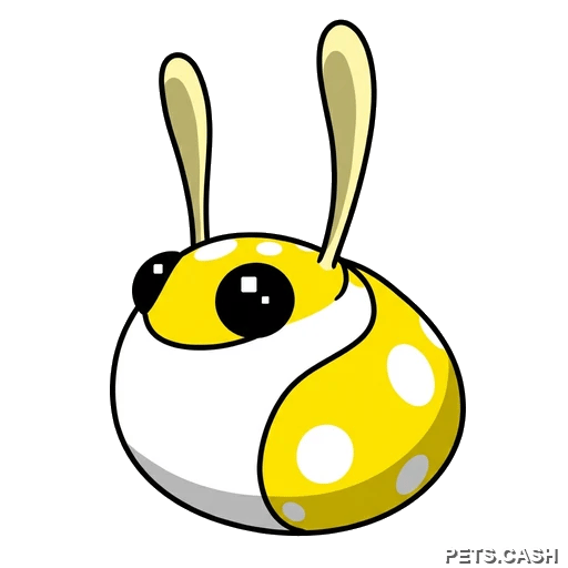 Hopbop