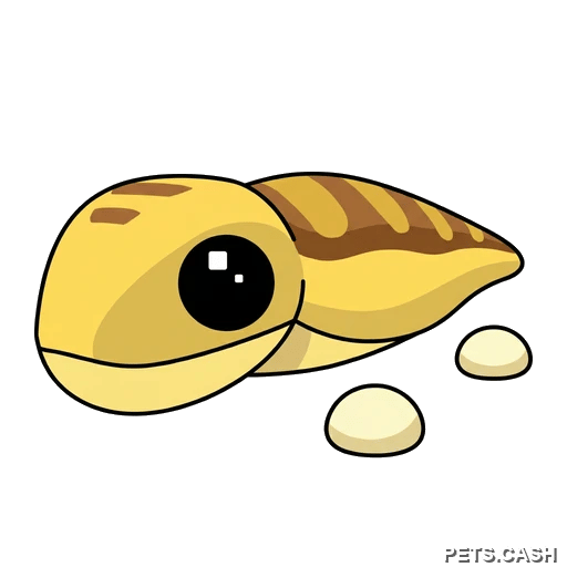 Sandfish