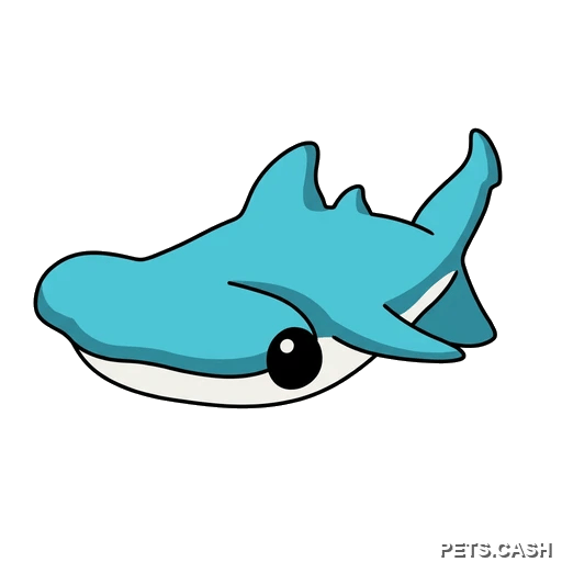 Hammerhead Shark