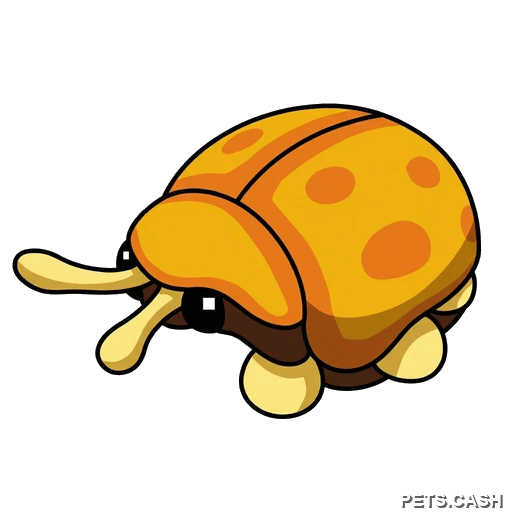Golden Tortoise Beetle