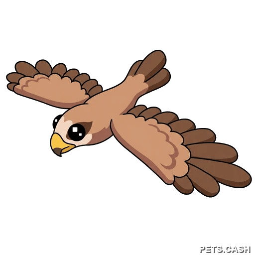 Black Kite