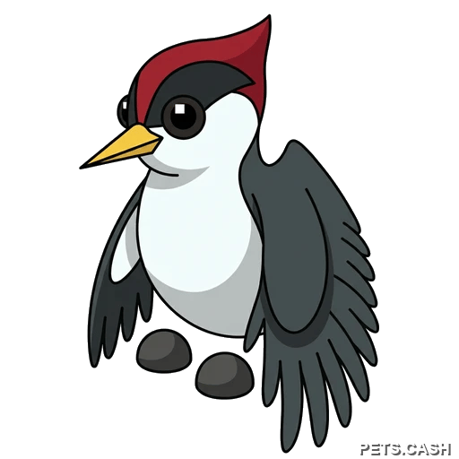 Woodpecker