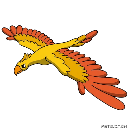 Phoenix