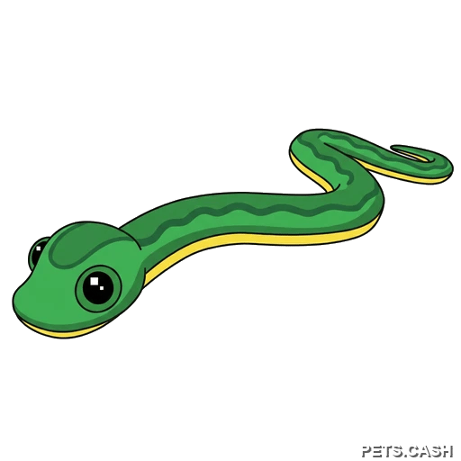 Garden Snake