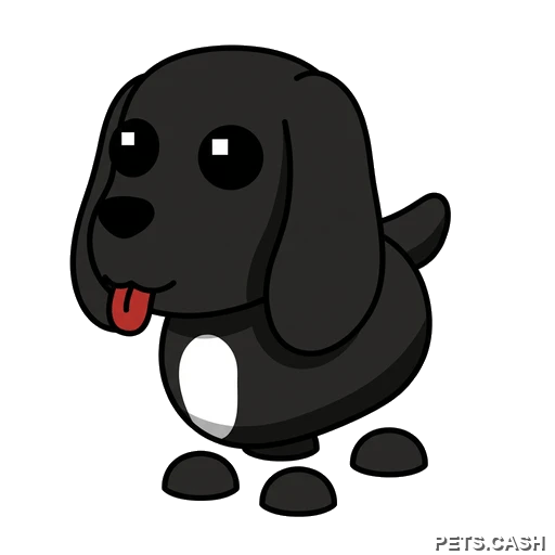 Royal Palace Spaniel