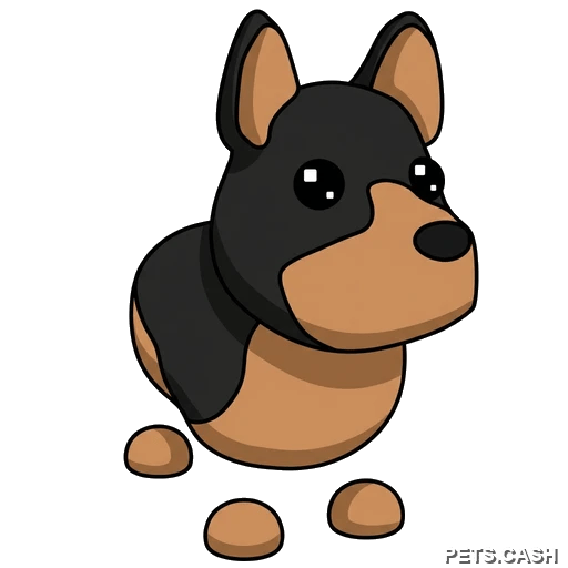 Australian Kelpie