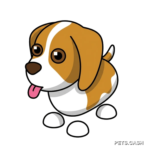 Brown Springer Spaniel