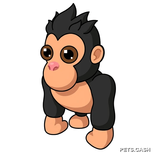 Gorilla