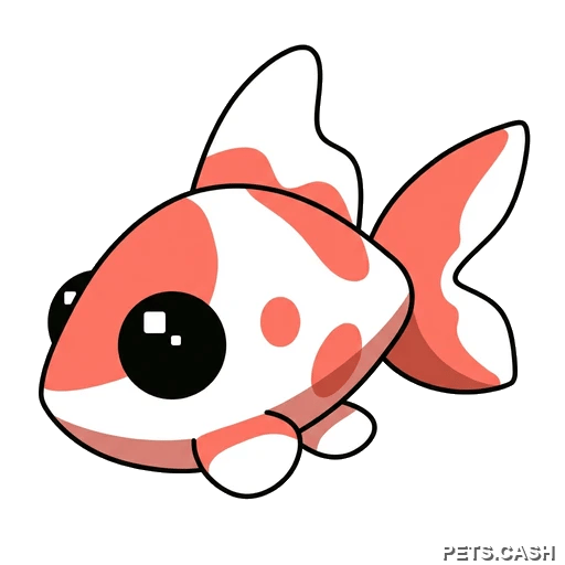 Koi Carp