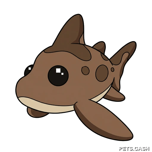 Leopard Shark