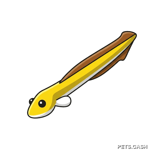 Eel