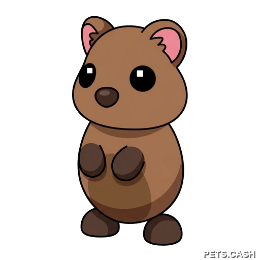 Quokka