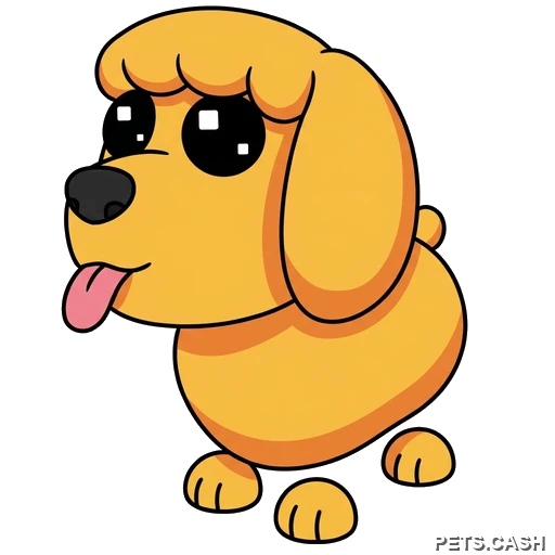Toy Poodle