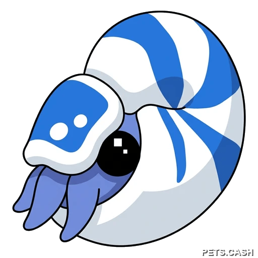Nautilus