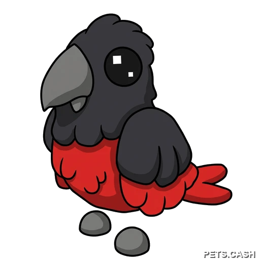 Dracula Parrot