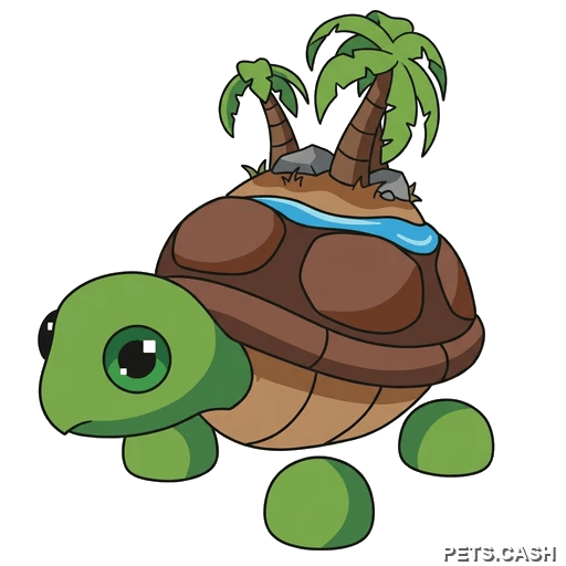 Tortuga De La Isla