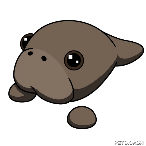 Dugong
