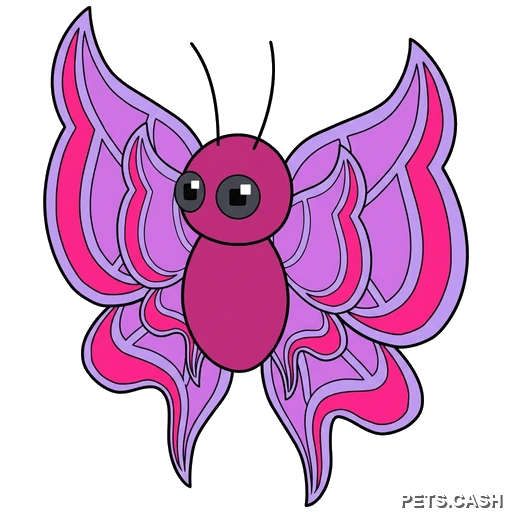 Orchid Butterfly