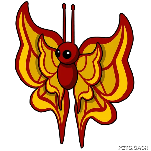 Amber Butterfly