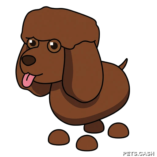 Irish Water Spaniel