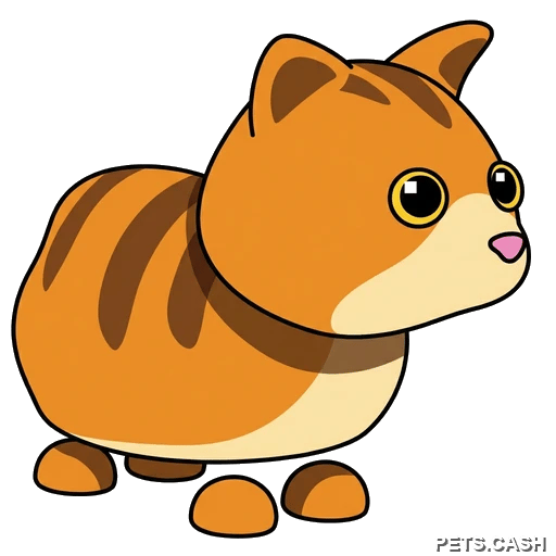 Ginger Cat