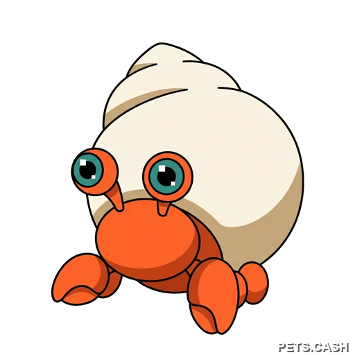 Hermit Crab