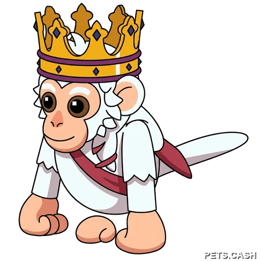 Royal Capuchin Monkey