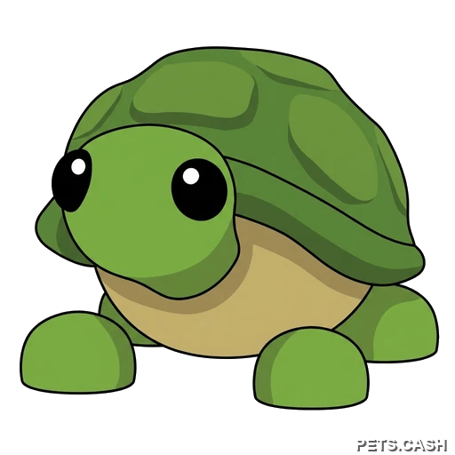 Turtle