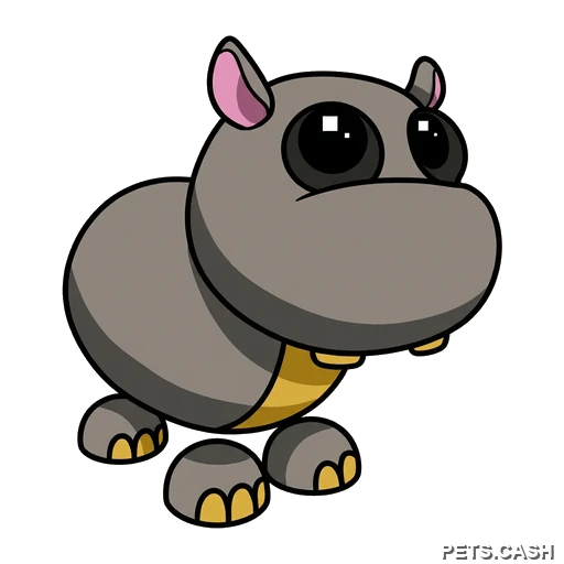 Hippo
