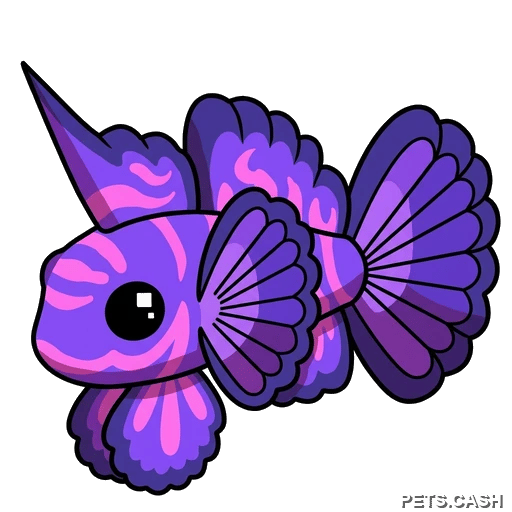 Singularity Pisces