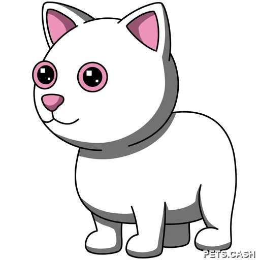 Snow Cat