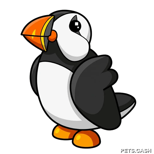 Puffin