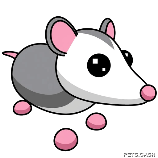 Possum