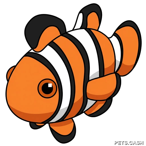 Clownfish