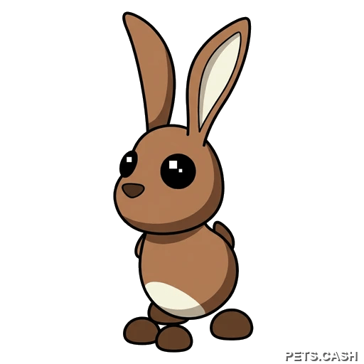 Hare
