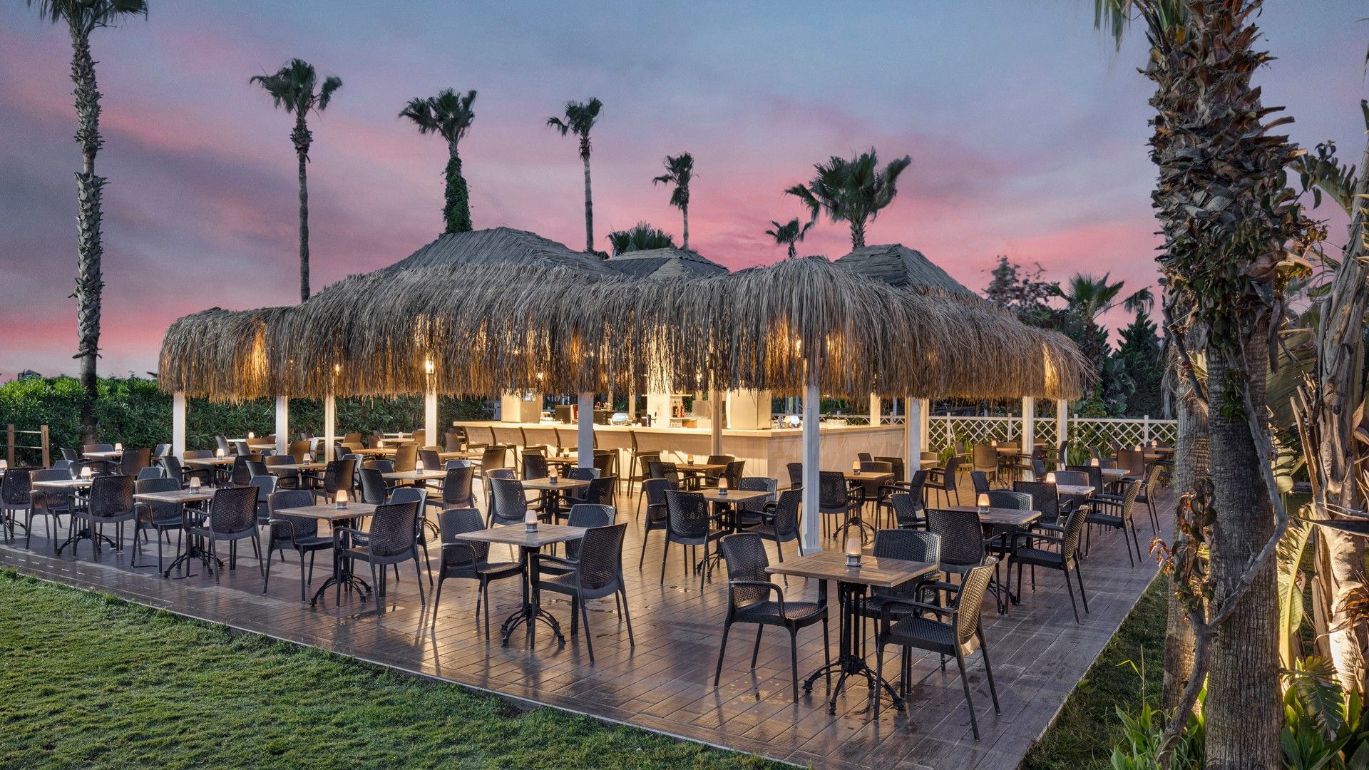 Palm Bar — фото 2