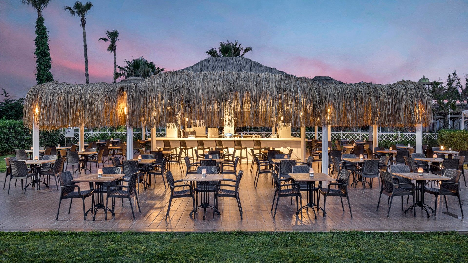 Palm Bar — фото 3