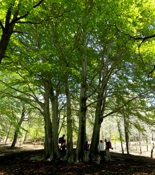 etna for lazy people2