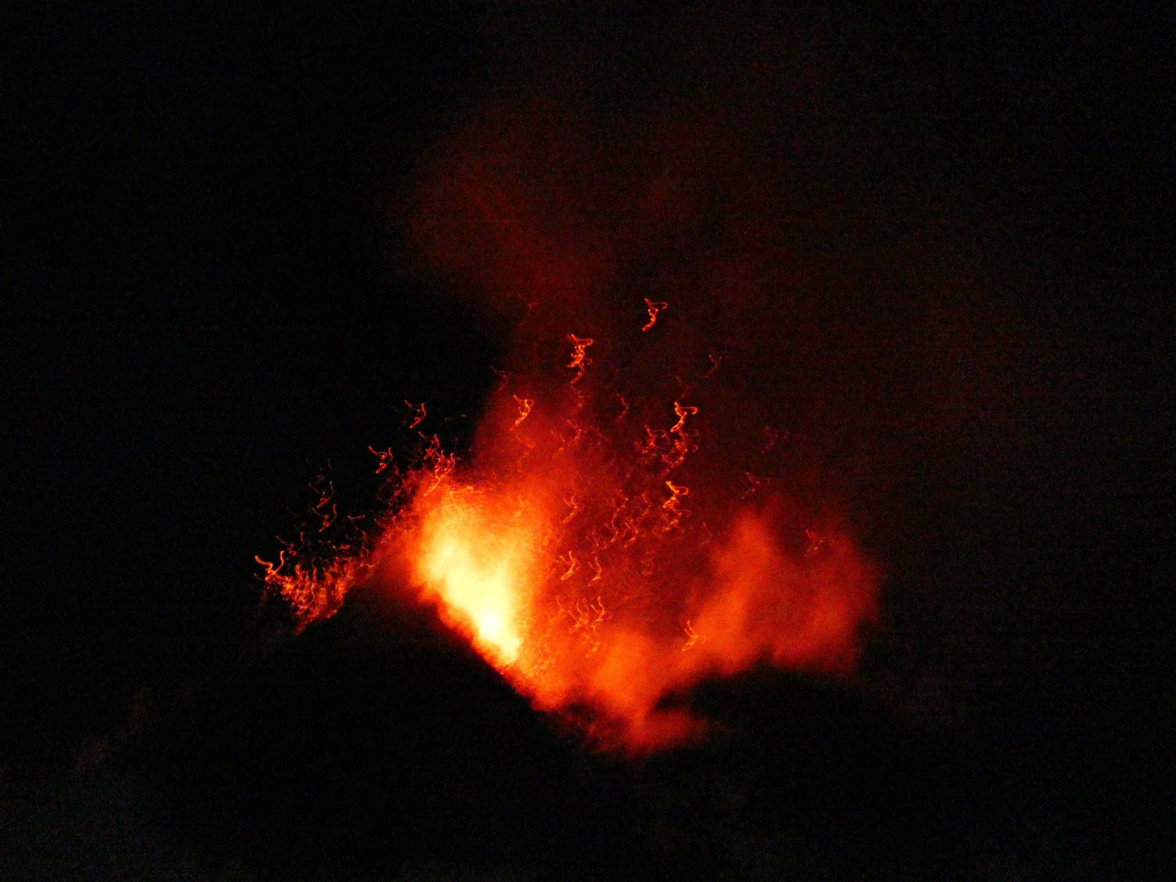 P1010478