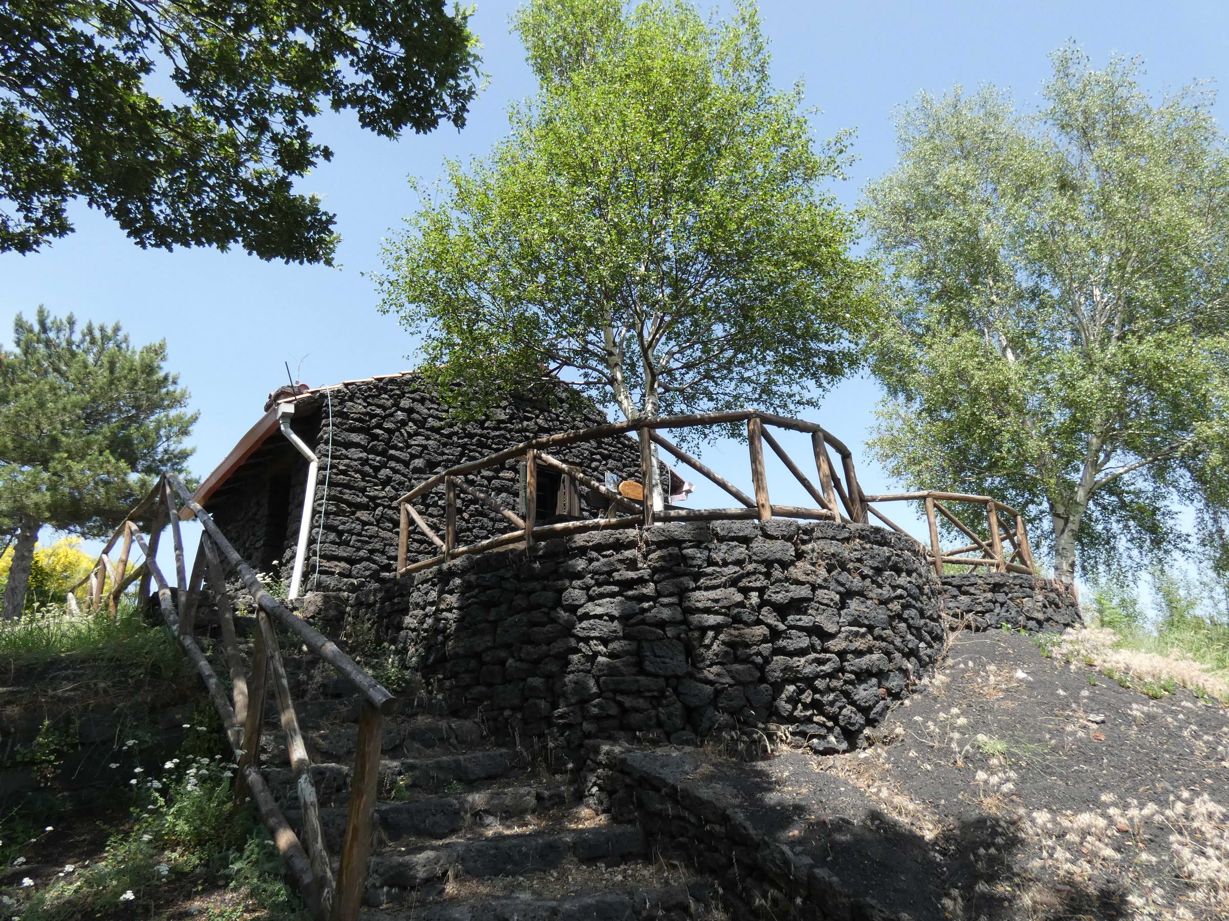 P1000958