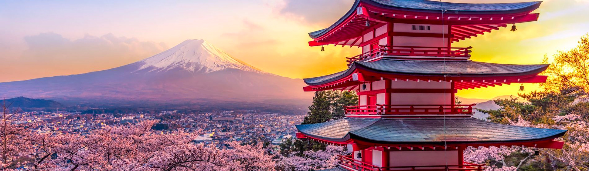 Consejos para tu viaje a Tokio