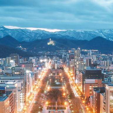 Transfert de Aéroport Sapporo Shin Chitose (CTS)