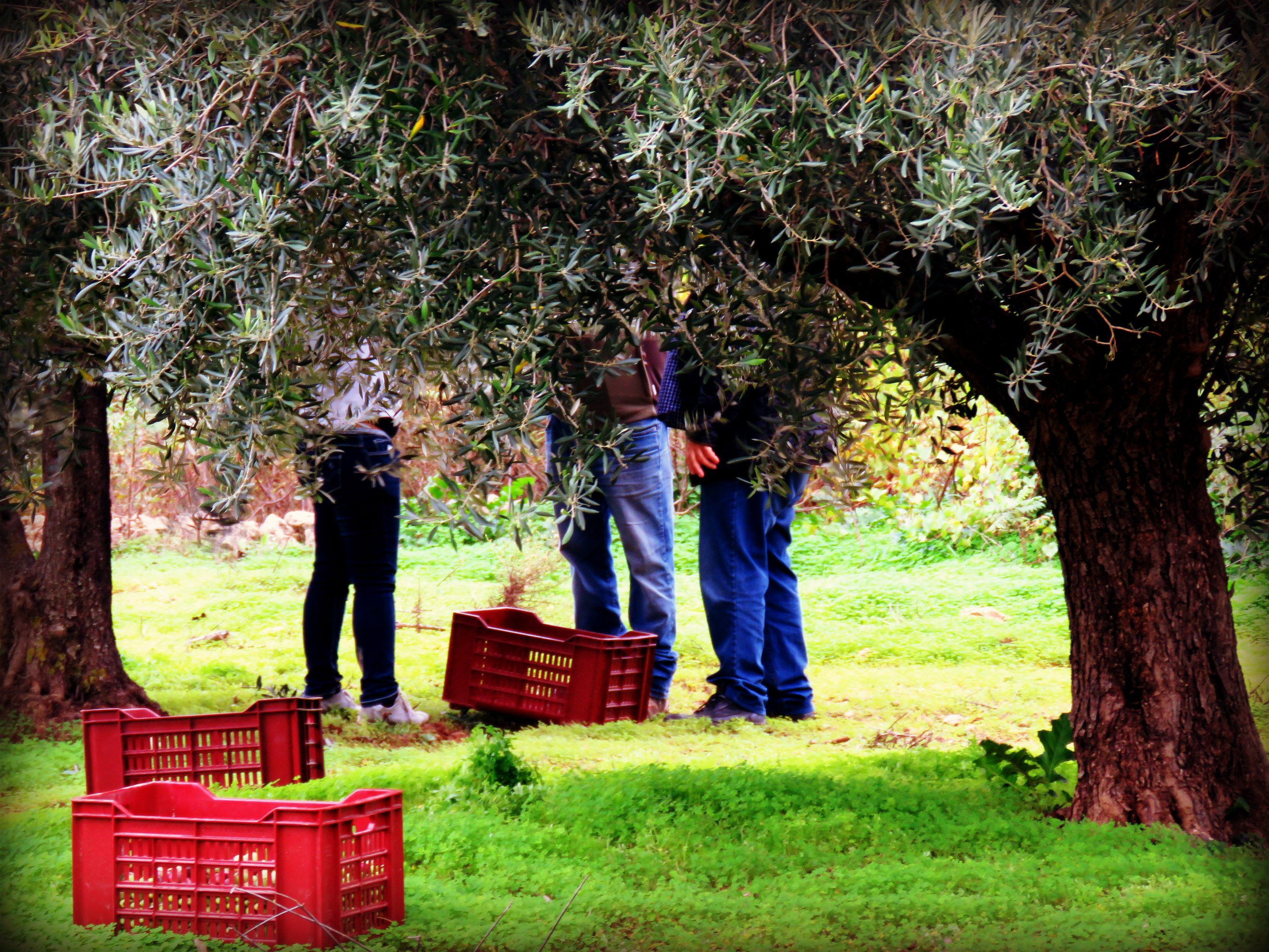 Turismo esperienziale: dove farlo in Italia