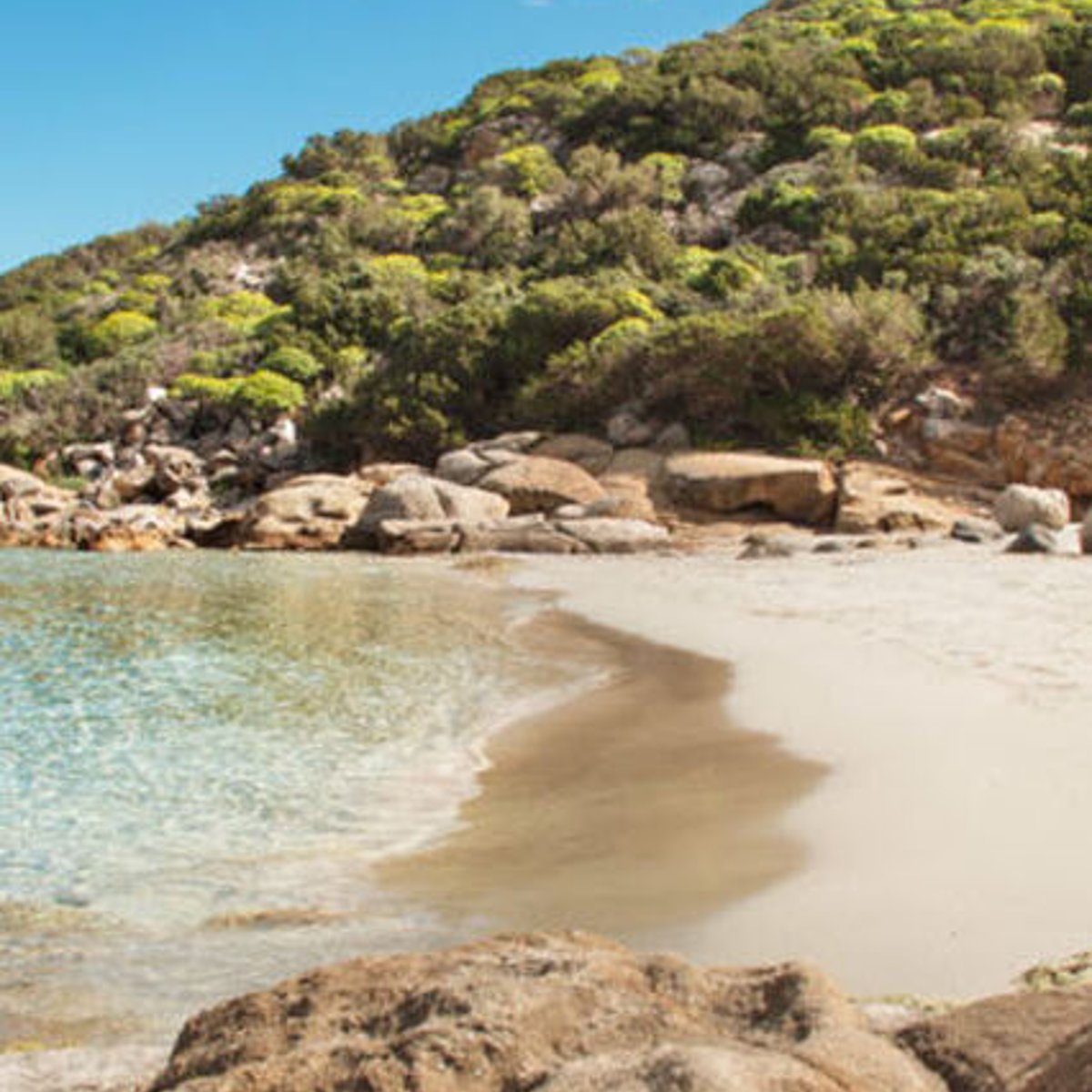 DURA DERROTA! Con Gianluca Lapadula ⚽🇵🇪 en el banco, Cagliari 🔴🔵 cayó  0-3 ante el Inter de Milán ⚫🔵. De esta forma, el elenco de nuestro  compatriota se ubica en el puesto, image size:1200x1200